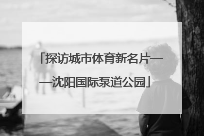 探访城市体育新名片——沈阳国际泵道公园